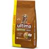 Affinity Ultima Ultima Medium/Maxi Adult Pollo & Riso Crocchette per cani - 18 kg