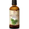 AROMATIKA trust the power of nature Olio Essenziale di Pino 100ml - Pinus Sylvestris - Austria - 100% Naturale & Puro - Aromaterapia - Relax - SPA - Bagno - Diffusore - Pine Scotch Essential Oil
