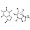 ScienceFox Orecchini a lobo a forma di molecola di caffeina in argento sterling 925, oro e oro rosa regalo per amanti del caffè, espresso e stimolanti (argento sterling 925)