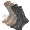 PASINI FASHION 2 Paia - Calze pesanti da uomo con Alpaca - Collezione EVEREST - calde e confortevoli, in assortimento di due colori (flanella-grigio, 43-46)