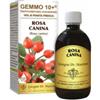 DR.GIORGINI SER-VIS SRL Gemmo 10+ Rosa Canina Liquido Analcolico 500 Ml