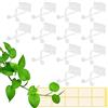 Zocipro 100Pcs Clip per Piante Autoadesivi, Mollette di Supporto Autoadesivi per Piante, Clip di Supporto Durevole per Piante, Clip di Fissaggio per Pareti da Arrampicata, per Piante da Giardino