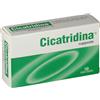 FARMA-DERMA Cicatridina Supposte Ragadi Anali 10 Pezzi