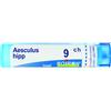 LABORATOIRES BOIRON Srl AESCULUS HIPPOCASTANUM 9CH GRANULI