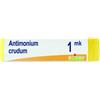BOIRON Srl Antimonium Crudum 1MK Boiron Globuli 1g