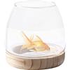 Gruwkue Vaso idroponico,Serbatoio per pesci in vaso trasparente con base in legno - Acquario ecologico, centrotavola per vasi di fiori, ciotola decorativa in vetro per decorazioni per la casa di Gruwkue