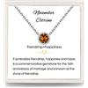 Presentski Birthstone Pendente Solitario Collana in Argento 925 Donna