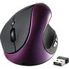 BeWishes Mouse ergonomico, mouse ottico wireless 2.4G ad alta precisione ricaricabile mouse verticale ergonomico con DPI regolabile, riduce l'affaticamento del polso, specialmente per i destrimani