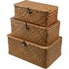 Esoes Cesto portaoggetti in vimini intrecciato, scatola portaoggetti in rattan con coperchi, cesto portabiancheria in seagrass, organizer per il trucco per bagno, soggiorno, cucina (S+M+L)