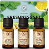 AROMATIKA trust the power of nature - Set Oli Essenziali Freschezza 3x10ml - Menta Piperita, Limone, Melissa - Kit Set 3 Oli Essenziali per Diffusori - Bruciaolio - Umidificatore - Aromaterapia