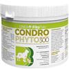 TREBIFARMA Condrophyto Polvere Barattolo 300 G