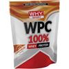 Why Sport Whysport WPC 100% Whey Integratore di Proteine Gusto Caramello 1 kg