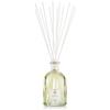 DR VRANJES | RIVENDITORE UFFICIALE PROFUMO GINGER LIME CON DIFFUSORE 100 ML