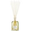 DR VRANJES | RIVENDITORE UFFICIALE PROFUMO GINGER LIME CON DIFFUSORE 250 ML
