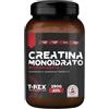 T-Rex Integratori Creatina Monoidrata Micronizzata - Integratore alimentare per massa muscolare e boost energetico pre workout (Polvere, 250 g (Confezione da 1))