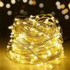 SALCAR LED guirlande lumineuse de 10 mètres / 33 Ft 100 diodes à l'intérieur du fil de cuivre Micro USB pour les fêtes de Noël Party Decorating (blanc chaud)