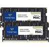 Timetec 64GB Kit (2x32GB) Compatibile con Apple DDR4 2666MHz/2667MHz per iMac metà 2020 (20.1/20.2)/metà 2019 (19.1) 27'' con Retina 5K, fine 2018 Mac Mini (8, 1) RAM PC4-21333/PC4-21300 Mac