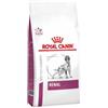 Royal Canin Renal Secco Crocchette per salute renale dei cani 2 kg