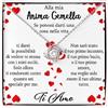 NONNA PROFESSIONISTA Collana Donna Alla mia Anima Gemella, Argento Idee Regali per lei, Anniversario Matrimonio Compleanno o Natale - Cofanetto con DEDICA incluso (Argento - Alla mia Anima Gemella)