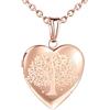 CPSLOVE Collana con Foto a Cuore, Ciondolo in Acciaio Inossidabile da Donna Ragazza, Collane con Albero della Vita, Collana commemorativa, può Mettere Foto, Intagliare L'Albero della Vita
