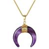COAI Collana da Donna in Acciaio Inox Placcato Oro con Ciondolo Doppio Corno Luna Crescente in Ametista