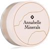 Annabelle Minerals Coverage Mineral Foundation 4 g