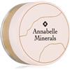 Annabelle Minerals Mineral Highlighter 4 g
