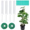 LSRVNM 4 Pezzi Palo Muschio, Bastone Muschiato, Moss Pole, Tutori Piante Rampicanti, Palo Totem in Fibra di Cocco, Palo di Muschio Plastica, può Essere Riempito con Muschio Torba (Bianco)
