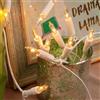 Hellum luci da fata per interni, 10 lampadine chiare, luci calde, illuminate 1,35 m, cavo bianche con spina per Natale 831184