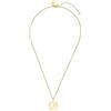 PURELEI® Collana con mappa del mondo (oro e oro rosa) con ciondolo (40 cm di lunghezza) e Acciaio inossidabile, colore: World Map-gold, cod. 1