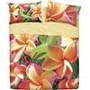 Bassetti Completo Letto Copriletto Singolo Linea Natura 100% Cotone Made in Italy (frangipane)