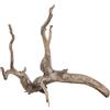 Sera Scaper Root (Prezzo per Radici) Diverse Misure - Legno Naturale Decorazione per Acquario - Decorazione acquascaping