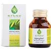 Erbex ISPAGHUL 100 CAPSULE 430MG