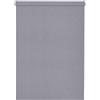 Gardinia Tenda a Rullo, Opaca, Tenda a Incastro EASYFIX Lilly Green, Fissaggio a Incastro, Filtrante, Tenda a Rullo per Finestre Installabile Senza Trapano, Grigio Chiaro/Grigio, 45 x 160 cm