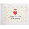 AZ FLAG Bandiera Stemma di Francia 45x30cm - BANDIERINA Blasone Francese 30 x 45 cm cordicelle