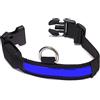 Arquivet - Collare luminoso per cane LED blu - Taglia S 28-40 cm/2,5 cm
