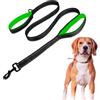 Edipets, Guinzaglio per Cani Grande, con Doppia Maniglia Imbottita, Riflettente, 1,8 m, Antiscivolo, per Cani Medi e Grandi (Blu/Verde)