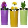 Koala Spain (3 unità) Vaso matalico da giardino, colori giallo, verde e viola