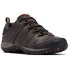 Columbia Woodburn II Waterproof Scarpe da Trekking Basse Impermeabili Uomo, Cordovan x Cinnamon, 47 EU