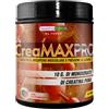 Healthy Fusion Creatina 100% | Creatina pura microfiltrata + Vitamina B6 | Migliora la resistenza fisica | Crescita muscolare | Migliora la concentrazione | Facile da digerire | Gusto Anguria 300g