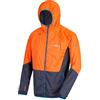 Regatta - Tarvos Soft Shell da Uomo, Uomo, RML164 4TW95, Fairwy/DkDnm, FR : 3XL (Taille Fabricant : XXXL)