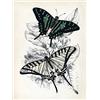 Piddix Canvas Wall Art, Multicolore, 30 x 40 x 3.2 cm
