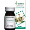 ARCANGEA SRL Desmodium 60 Capsule 500 Mg