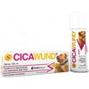 SHEDIR PHARMA SRL UNIPERSONALE Cicawund Spray 125 Ml