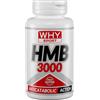 WHY SPORT HMB 3000 - Integratore Alimentare Trofismo Muscolare e Recupero Post Workout - 90 Compresse