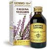 Dr Giorgini Integratore Alimentare, Erica Gemmoderivato Concentrato Liquido Analcoolico - 100 ml