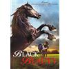 Metropolitan Film & Video Black beauty - dvd