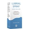 Abros srl Abros Lubrial spray con acido ialuronico 15ml Collirio