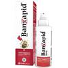 Shedir Pharma Shedir Banzapid spray trattamento per i pidocchi 100 ml