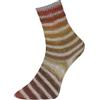 Woolly Hugs Paint Socks di Veronika Hug, 4 fili, 100 g/420 m, 75% lana vergine, 25% poliammide, 2 calze identiche a maglia, (202 giallo grigio)